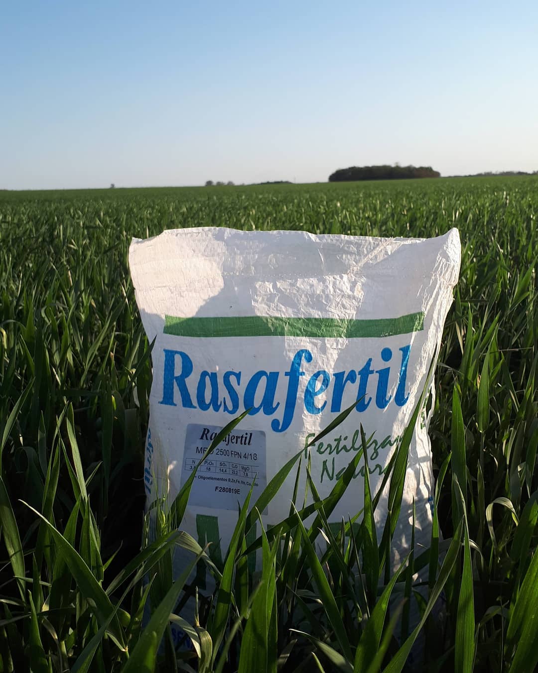 Bolsa de fertilizante Rasafertil en un campo de cultivo verde